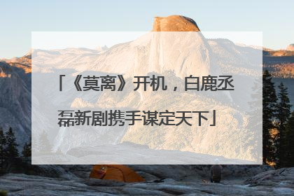 《莫离》开机，白鹿丞磊新剧携手谋定天下
