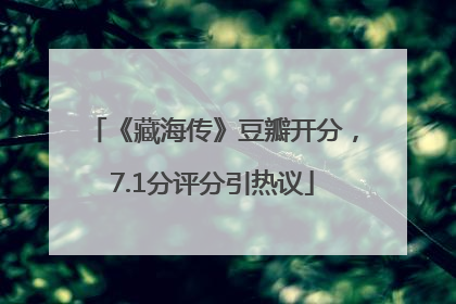 《藏海传》豆瓣开分，7.1分评分引热议