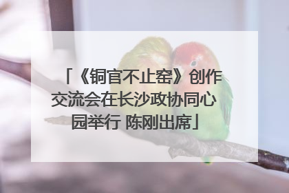 《铜官不止窑》创作交流会在长沙政协同心园举行 陈刚出席