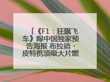 《F1：狂飙飞车》曝中国独家预告海报 布拉德・皮特携顶级大片燃爆暑期