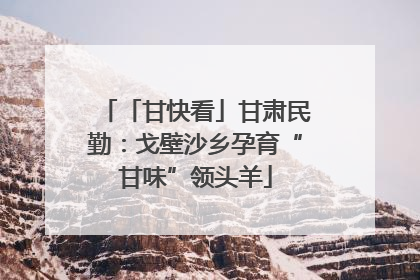 「甘快看」甘肃民勤：戈壁沙乡孕育“甘味”领头羊
