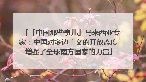 「中国那些事儿」马来西亚专家：中国对多边主义的开放态度增强了全球南方国家的力量