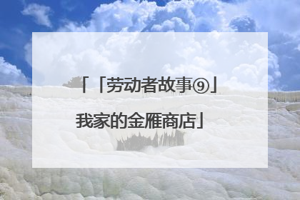 「劳动者故事⑨」我家的金雁商店