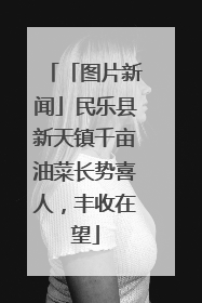 「图片新闻」民乐县新天镇千亩油菜长势喜人，丰收在望