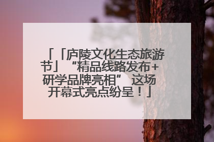 「庐陵文化生态旅游节」“精品线路发布+研学品牌亮相” 这场开幕式亮点纷呈！