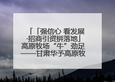 「强信心 看发展·招商引资拼落地」高原牧场“牛”劲足——甘肃华予高原牧场高标准奶牛肉牛养殖项目一线见闻