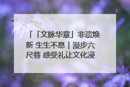 「文脉华章」非遗焕新 生生不息｜漫步六尺巷 感受礼让文化浸润的“巷”往生活