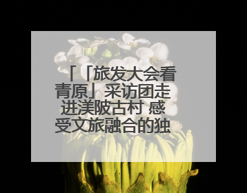 「旅发大会看青原」采访团走进渼陂古村 感受文旅融合的独特魅力（图）