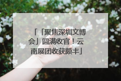 「聚焦深圳文博会」圆满收官！云南展团收获颇丰