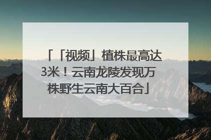 「视频」植株最高达3米！云南龙陵发现万株野生云南大百合