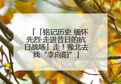 「铭记历史 缅怀先烈·走进昔日的抗日战场」走！豫北去找“李向阳”