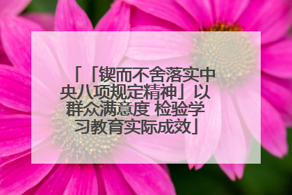 「锲而不舍落实中央八项规定精神」以群众满意度 检验学习教育实际成效