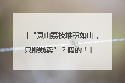 “灵山荔枝堆积如山，只能贱卖”？假的！