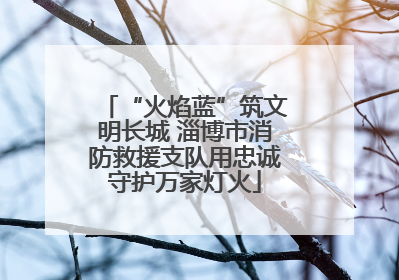 “火焰蓝”筑文明长城 淄博市消防救援支队用忠诚守护万家灯火