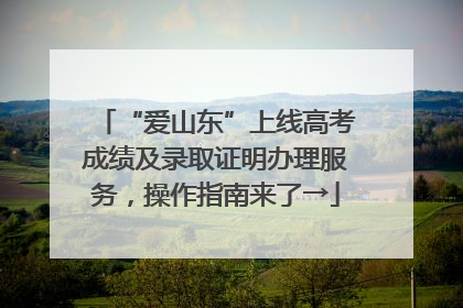“爱山东”上线高考成绩及录取证明办理服务，操作指南来了→