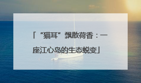 “猫耳”飘散荷香：一座江心岛的生态蜕变