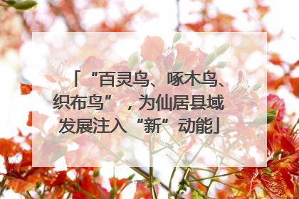 “百灵鸟、啄木鸟、织布鸟”，为仙居县域发展注入“新”动能