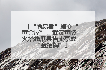 “简易棚”蝶变“黄金屋”，武汉黄陂火塔线瓜果售卖亭成“金招牌”