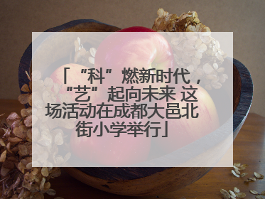 “科”燃新时代，“艺”起向未来 这场活动在成都大邑北街小学举行