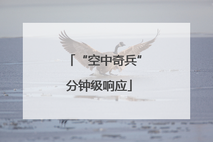 “空中奇兵”分钟级响应