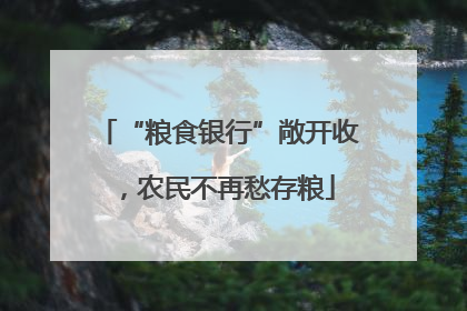 “粮食银行”敞开收，农民不再愁存粮