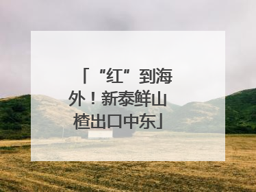 “红”到海外！新泰鲜山楂出口中东
