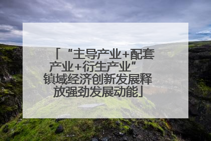 “主导产业+配套产业+衍生产业” 镇域经济创新发展释放强劲发展动能