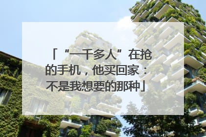 “一千多人”在抢的手机，他买回家：不是我想要的那种