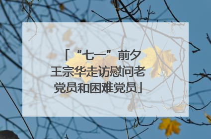 “七一”前夕 王宗华走访慰问老党员和困难党员