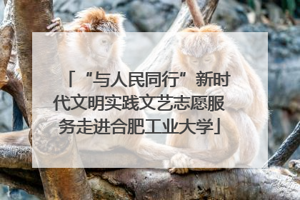 “与人民同行”新时代文明实践文艺志愿服务走进合肥工业大学