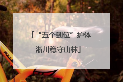 “五个到位”护体 淅川稳守山林