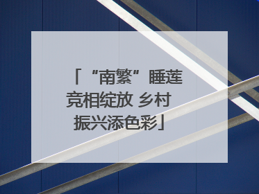 “南繁”睡莲竞相绽放 乡村振兴添色彩