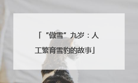 “傲雪”九岁：人工繁育雪豹的故事