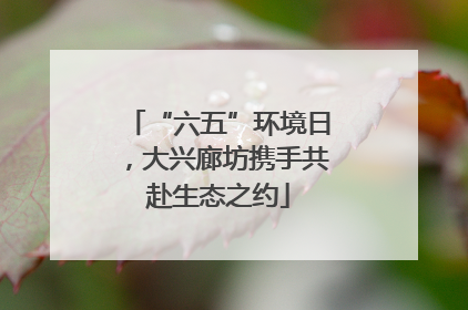 “六五”环境日，大兴廊坊携手共赴生态之约