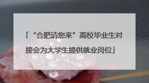 “合肥请您来”高校毕业生对接会为大学生提供就业岗位