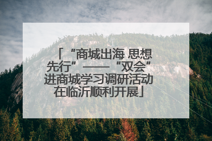 “商城出海 思想先行”——“双会”进商城学习调研活动在临沂顺利开展