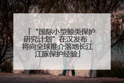 “国际小型鲸类保护研究计划”在汉发布，将向全球推介落地长江江豚保护经验