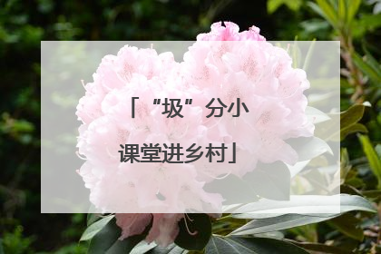 “圾”分小课堂进乡村