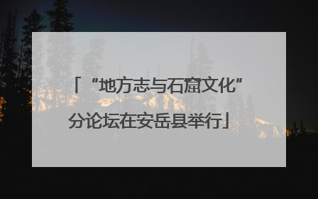 “地方志与石窟文化”分论坛在安岳县举行