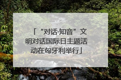 “对话·知音”文明对话国际日主题活动在匈牙利举行