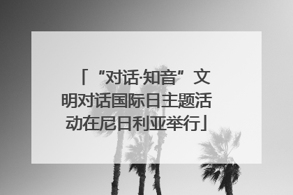 “对话·知音”文明对话国际日主题活动在尼日利亚举行
