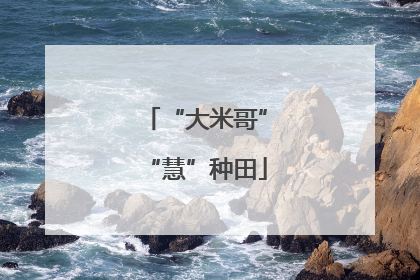 “大米哥”“慧”种田