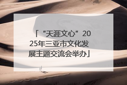 “天涯文心”2025年三亚市文化发展主题交流会举办