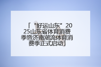 “好运山东”2025山东省体育消费季暨济南潮流体育消费季正式启动