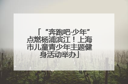 “奔跑吧·少年”点燃杨浦滨江！上海市儿童青少年主题健身活动举办