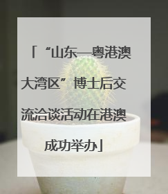 “山东—粤港澳大湾区”博士后交流洽谈活动在港澳成功举办