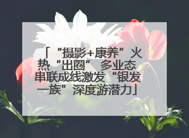 “摄影+康养”火热“出圈” 多业态串联成线激发“银发一族”深度游潜力
