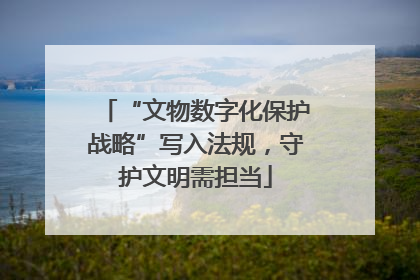 “文物数字化保护战略”写入法规，守护文明需担当