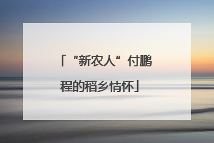“新农人”付鹏程的稻乡情怀