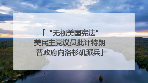 “无视美国宪法” 美民主党议员批评特朗普政府向洛杉矶派兵